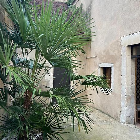 Cosy Appartement Hyper Centre Ville Avec Cour + Patio Auxerre Kültér fotó